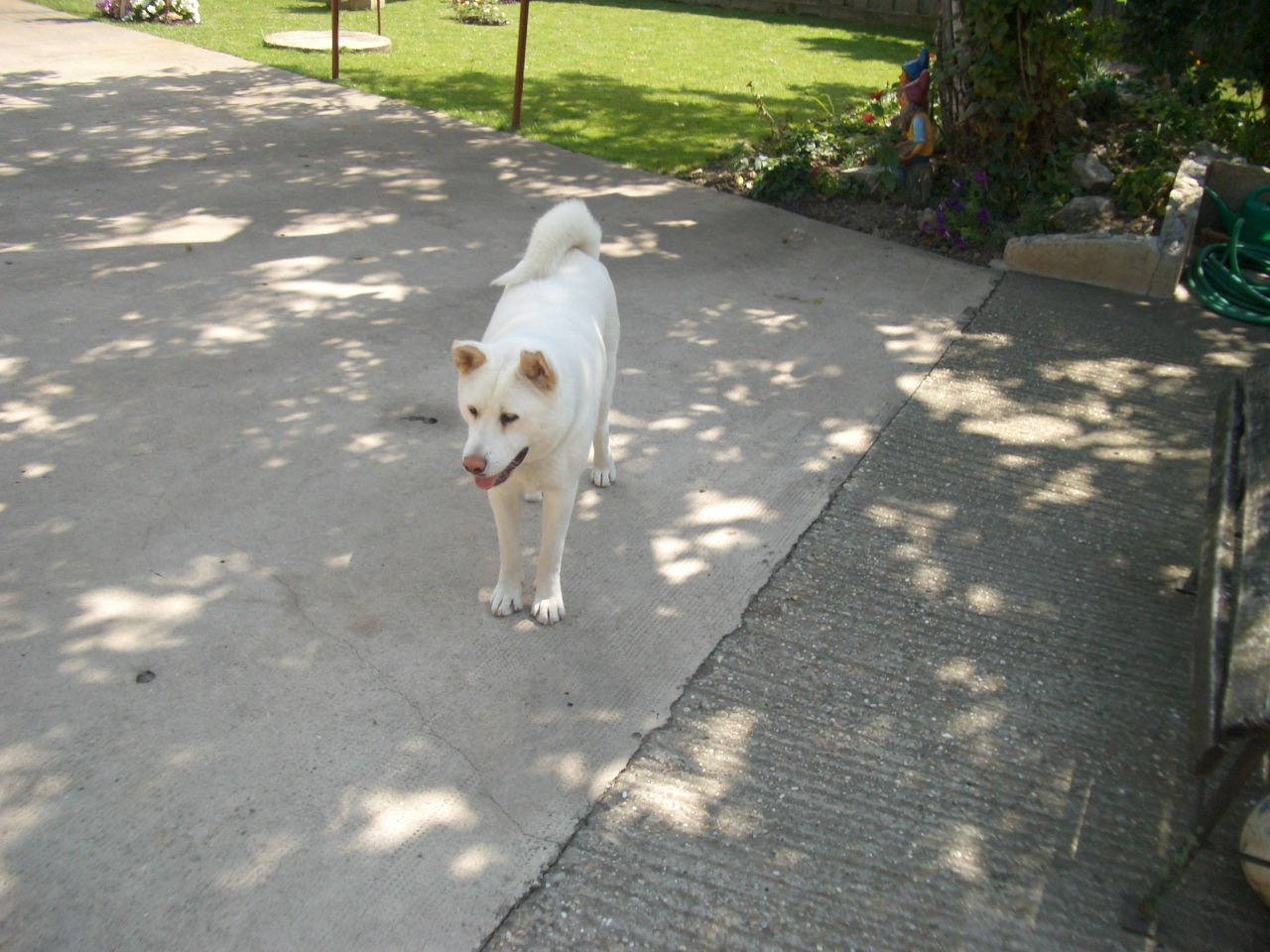 CIMG0882.JPG