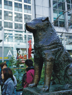 Hachiko.gif